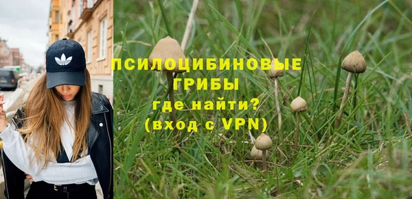 амфетамин Анива